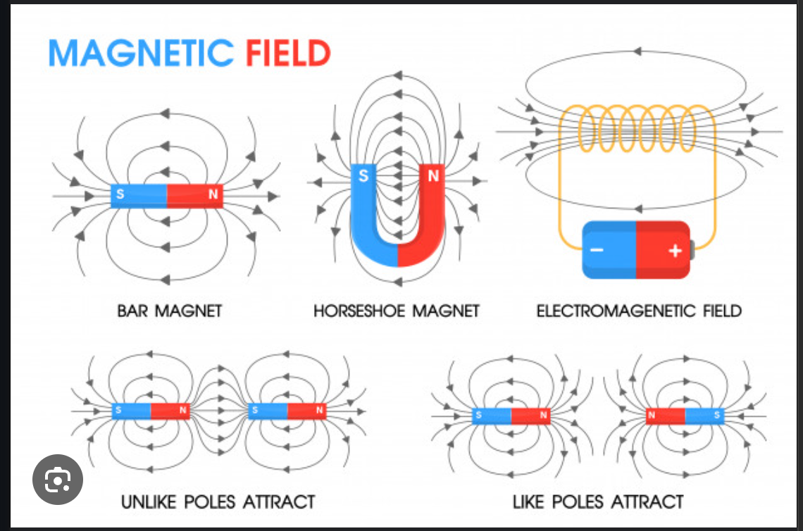 Magnetic Brush Bucket